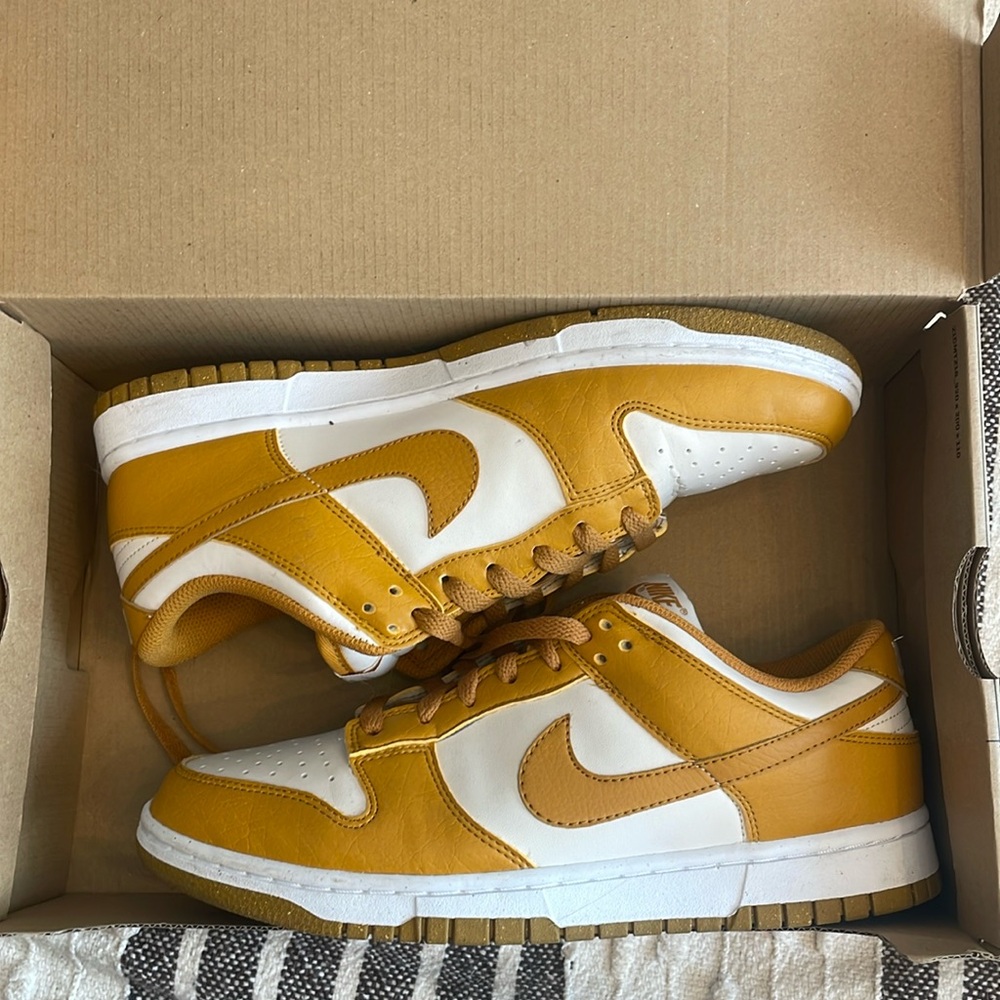 Nike dunk low next nature